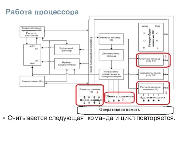 Работа процессора Считывается следующая команда и цикл повторяется.