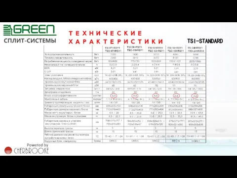 ТЕХНИЧЕСКИЕ ХАРАКТЕРИСТИКИ TSI-STANDARD