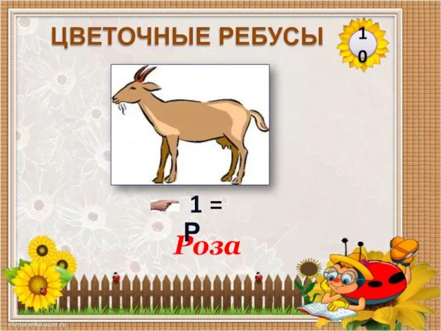 Роза 10 ЦВЕТОЧНЫЕ РЕБУСЫ 1 = Р