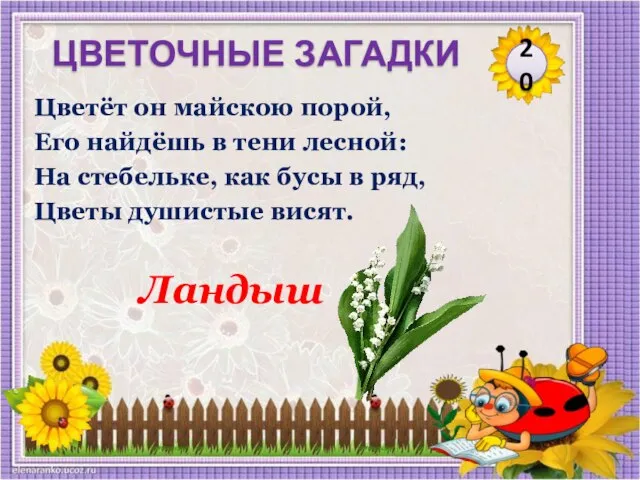 Ландыш Цветёт он майскою порой, Его найдёшь в тени лесной: На стебельке,