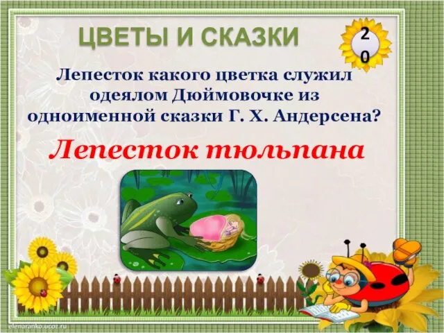 Лепесток тюльпана Лепесток какого цветка служил одеялом Дюймовочке из одноименной сказки Г.