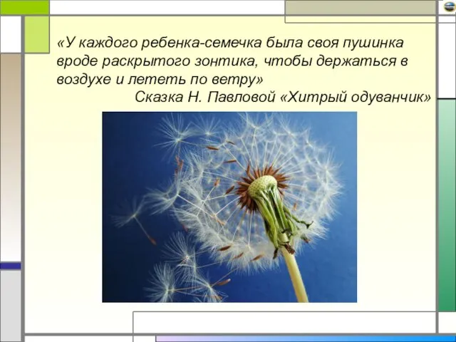 «У каждого ребенка-семечка была своя пушинка вроде раскрытого зонтика, чтобы держаться в