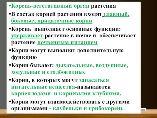 Корень-вегетативный орган растения В состав корней растения входят главный, боковые, придаточные корни