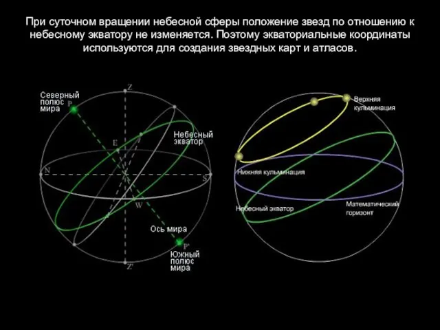 При суточном вращении небесной сферы положение звезд по отношению к небесному экватору