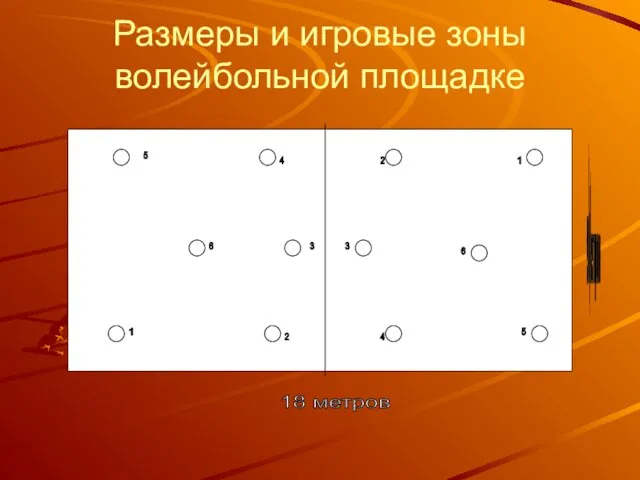 Размеры и игровые зоны волейбольной площадке 18 метров 9 м е т