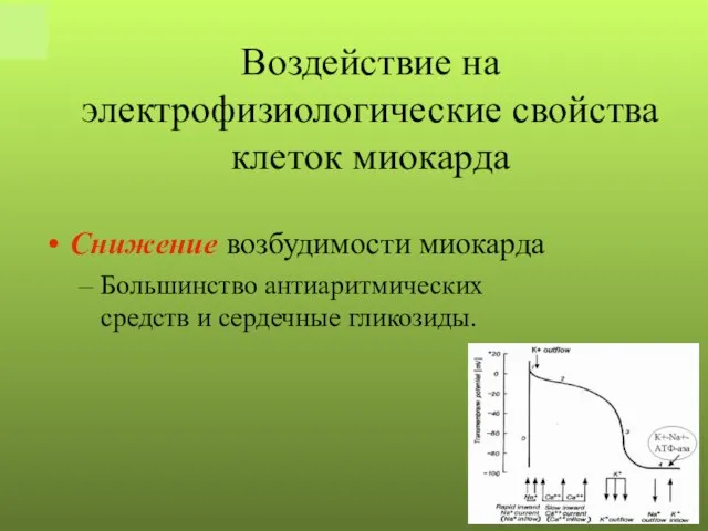 Снижение возбудимости миокарда Большинство антиаритмических средств и сердечные гликозиды. Воздействие на электрофизиологические свойства клеток миокарда