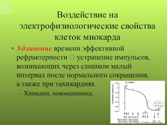 Удлинение времени эффективной рефрактерности ? устранение импульсов, возникающих через слишком малый интервал