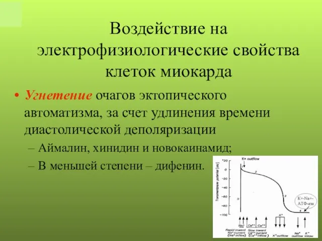 Угнетение очагов эктопического автоматизма, за счет удлинения времени диастолической деполяризации Аймалин, хинидин