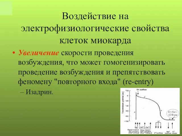 Увеличение скорости проведения возбуждения, что может гомогенизировать проведение возбуждения и препятствовать феномену