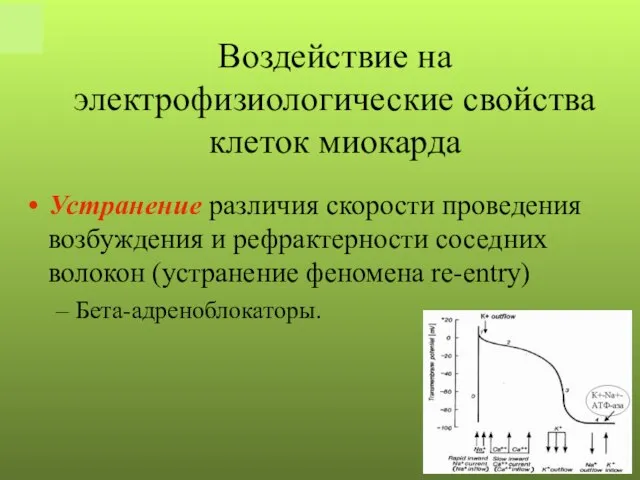 Устранение различия скорости проведения возбуждения и рефрактерности соседних волокон (устранение феномена re-entry)