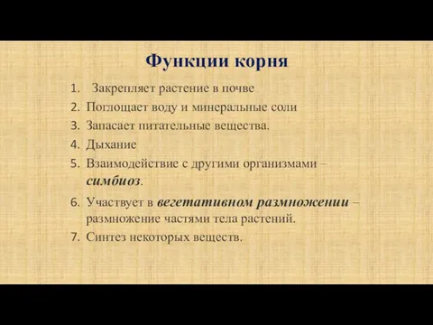 Функции корня Закрепляет растение в почве Поглощает воду и минеральные соли Запасает