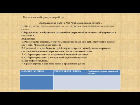 Выполнить лабораторную работу: Лабораторная работа №2 “Типы корневых систем”. Цель: изучить строение