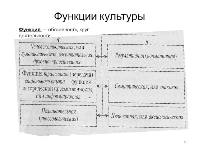 Функции культуры Функция — обязанность, круг деятельности.