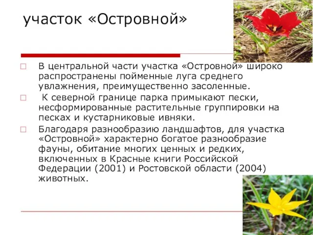 участок «Островной» В центральной части участка «Островной» широко распространены пойменные луга среднего