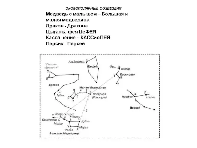 околополярные созвездия Медведь с малышем – Большая и малая медведица Дракон -