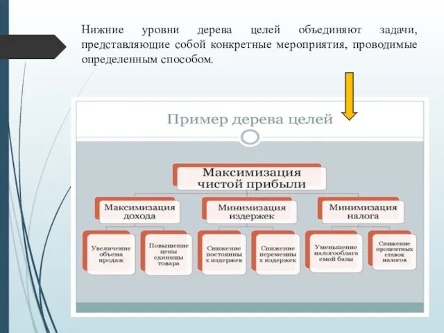 Нижние уровни дерева целей объединяют задачи, представляющие собой конкретные мероприятия, проводимые определенным способом.