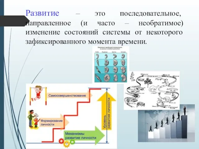 Развитие – это последовательное, направленное (и часто – необратимое) изменение состояний системы