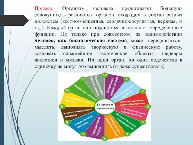 Пример. Организм человека представляет большую совокупность различных органов, входящих в состав разных