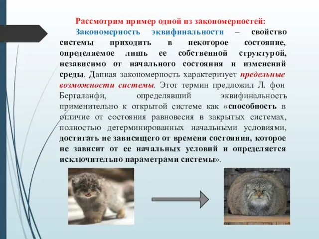 Рассмотрим пример одной из закономерностей: Закономерность эквифинальности – свойство системы приходить в