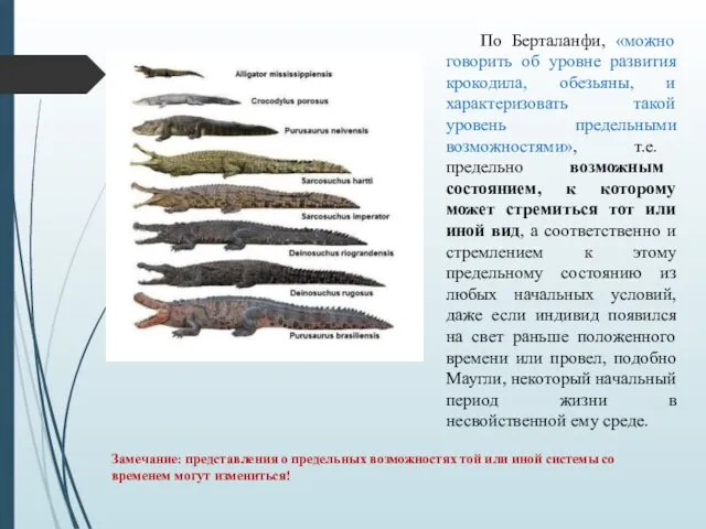 По Берталанфи, «можно говорить об уровне развития крокодила, обезьяны, и характеризовать такой