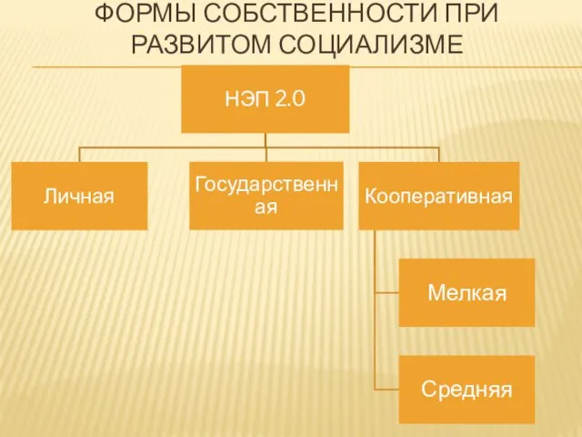 ФОРМЫ СОБСТВЕННОСТИ ПРИ РАЗВИТОМ СОЦИАЛИЗМЕ