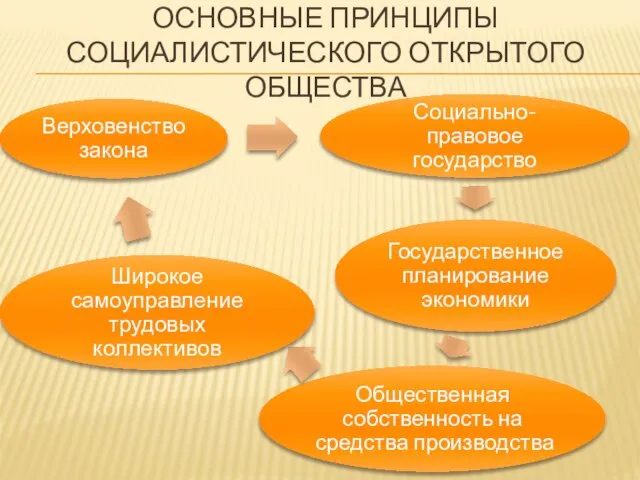 ОСНОВНЫЕ ПРИНЦИПЫ СОЦИАЛИСТИЧЕСКОГО ОТКРЫТОГО ОБЩЕСТВА