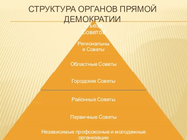 СТРУКТУРА ОРГАНОВ ПРЯМОЙ ДЕМОКРАТИИ