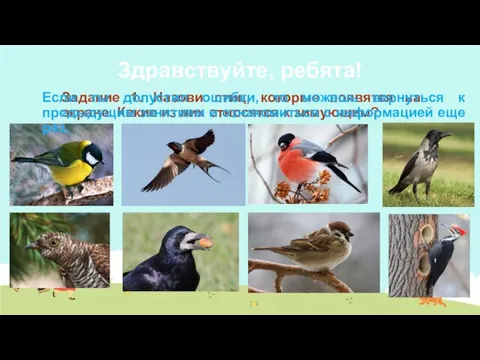 Здравствуйте, ребята! Задание 1. Назови птиц, которые появятся на экране. Какие из