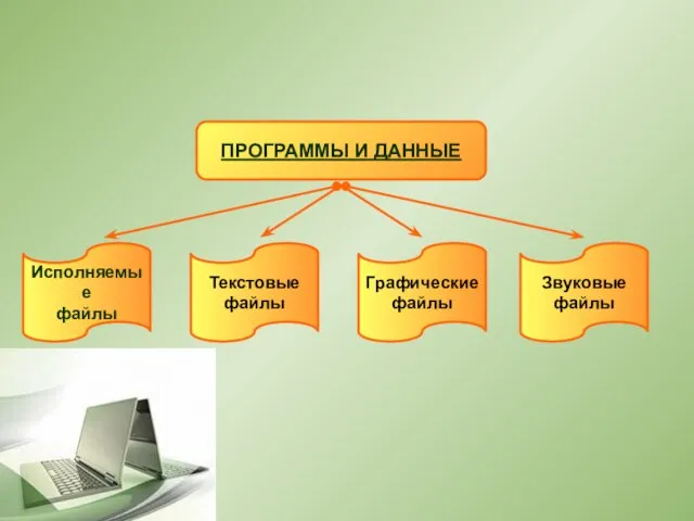 ПРОГРАММЫ И ДАННЫЕ Исполняемые файлы Текстовые файлы Графические файлы Звуковые файлы