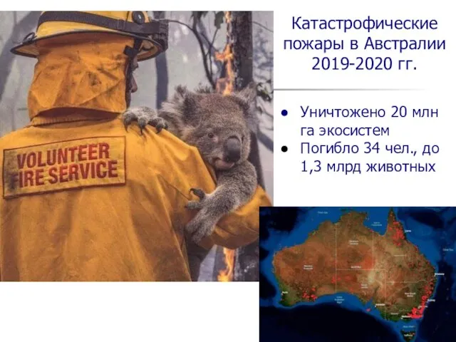 Катастрофические пожары в Австралии 2019-2020 гг. Уничтожено 20 млн га экосистем Погибло