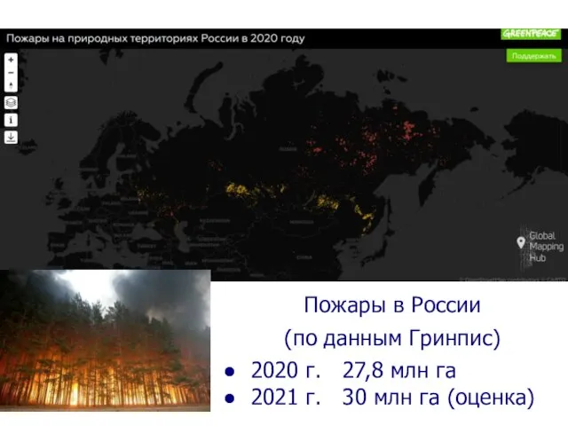 Пожары в России (по данным Гринпис) 2020 г. 27,8 млн га 2021