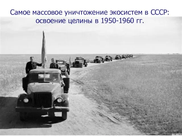 Самое массовое уничтожение экосистем в СССР: освоение целины в 1950-1960 гг.