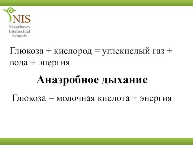 Глюкоза + кислород = углекислый газ + вода + энергия Анаэробное дыхание