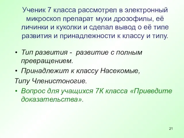 Ученик 7 класса рассмотрел в электронный микроскоп препарат мухи дрозофилы, её личинки