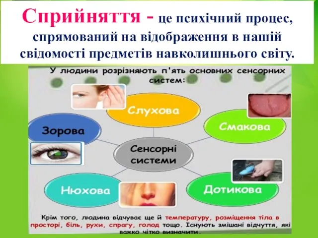 Сприйняття - це психічний процес, спрямований на відображення в нашій свідомості предметів навколишнього світу.