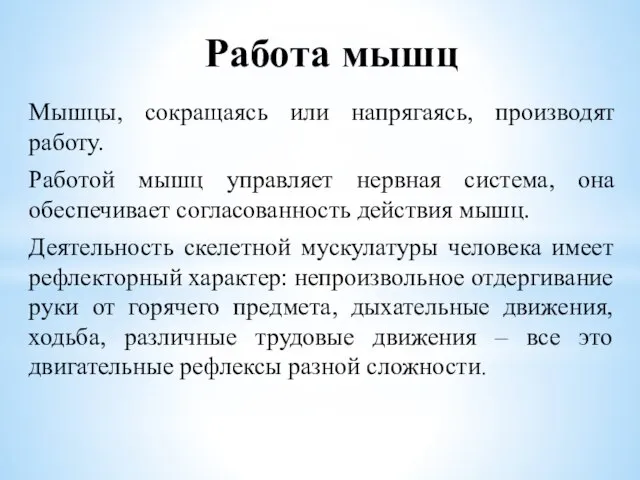 Работа мышц Мышцы, сокращаясь или напрягаясь, производят работу. Работой мышц управляет нервная