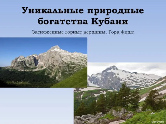 Уникальные природные богатства Кубани Заснеженные горные вершины. Гора Фишт