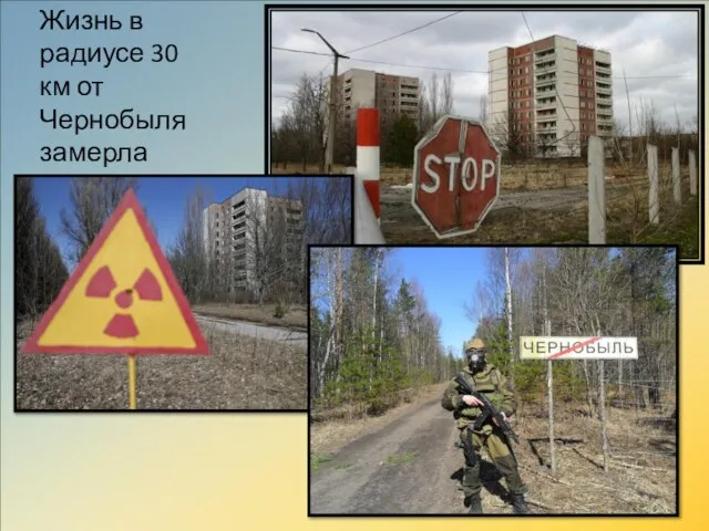 Жизнь в радиусе 30 км от Чернобыля замерла