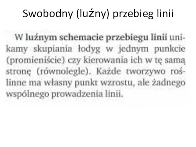 Swobodny (luźny) przebieg linii