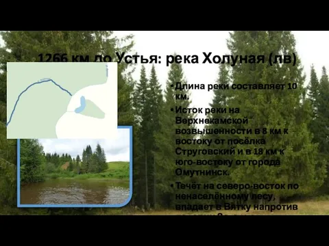 1266 км до Устья: река Холуная (лв) Длина реки составляет 10 км.