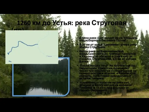 1260 км до Устья: река Струговая (лв) Длина реки составляет 26 км,