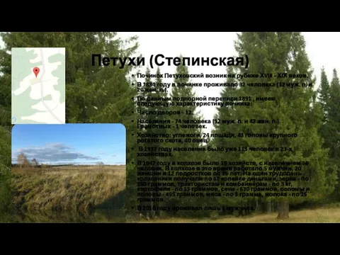 Петухи (Степинская) Починок Петуховский возник на рубеже ХVIII - ХIХ веков. В