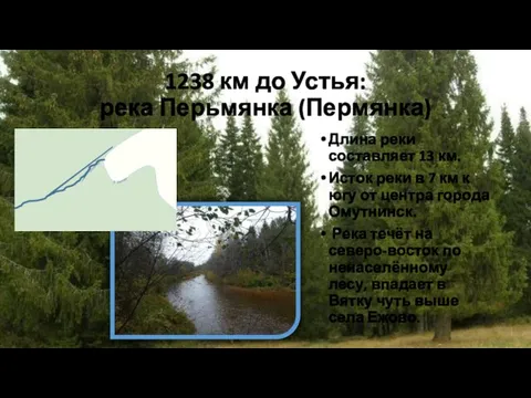1238 км до Устья: река Перьмянка (Пермянка) Длина реки составляет 13 км.