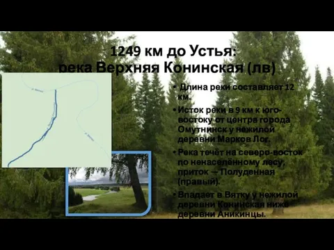 1249 км до Устья: река Верхняя Конинская (лв) Длина реки составляет 12