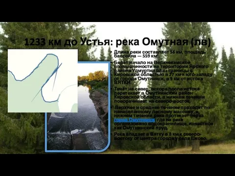 1233 км до Устья: река Омутная (лв) Длина реки составляет 56 км,