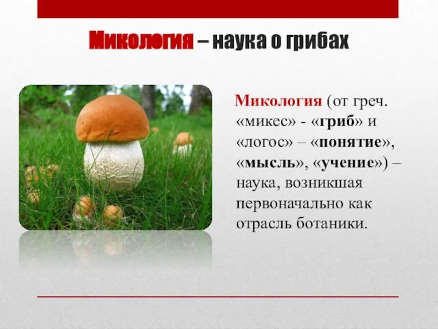 Микология – наука о грибах Микология (от греч. «микес» - «гриб» и