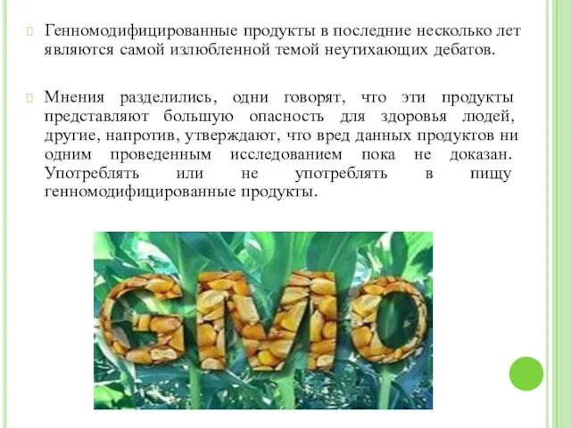 Генномодифицированные продукты в последние несколько лет являются самой излюбленной темой неутихающих дебатов.