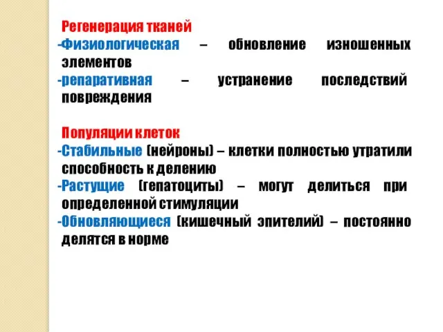 Регенерация тканей Физиологическая – обновление изношенных элементов репаративная – устранение последствий повреждения