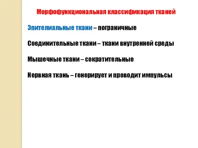 Морфофункциональная классификация тканей Эпителиальные ткани – пограничные Соединительные ткани – ткани внутренней