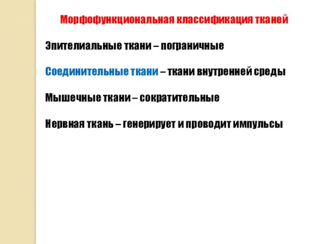 Морфофункциональная классификация тканей Эпителиальные ткани – пограничные Соединительные ткани – ткани внутренней